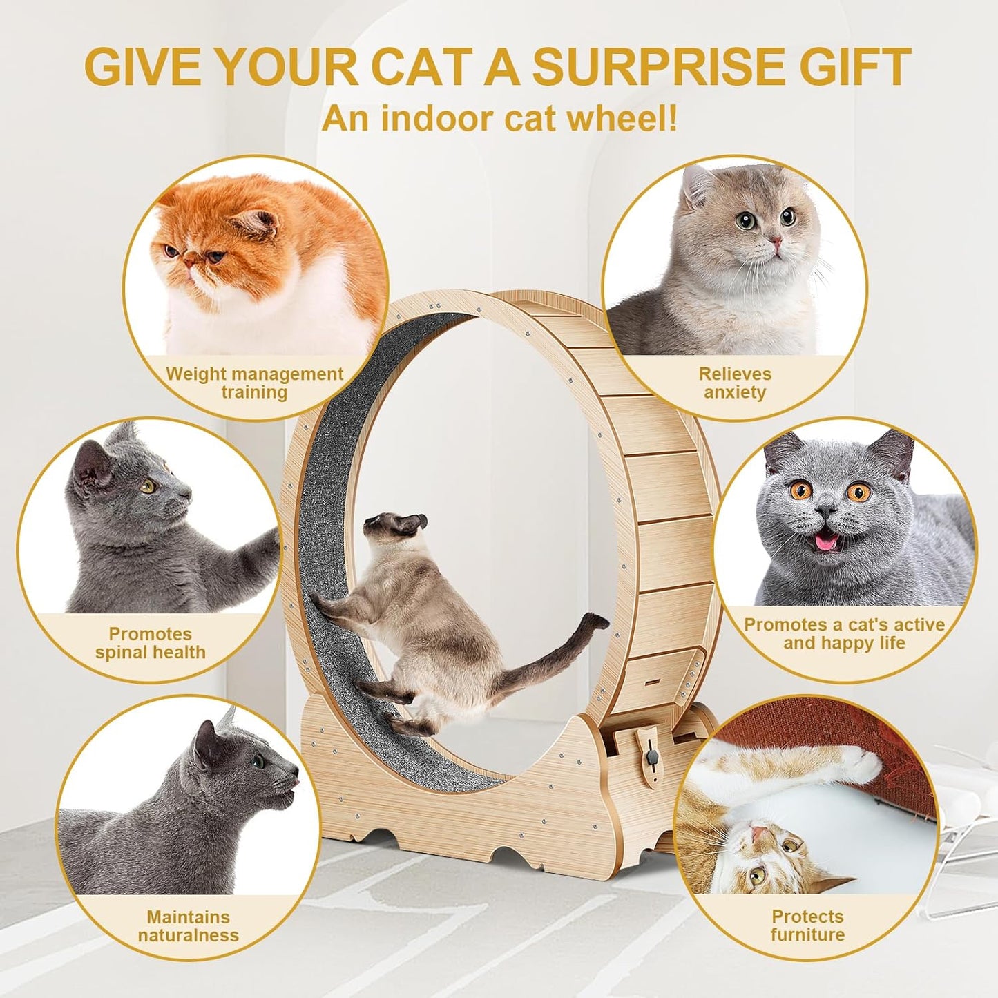 🐈Cat treadmill,Cat Wheel, 48" XL Large Cats Exercise Running Wheel, Cat Treadmill for Indoor Cats