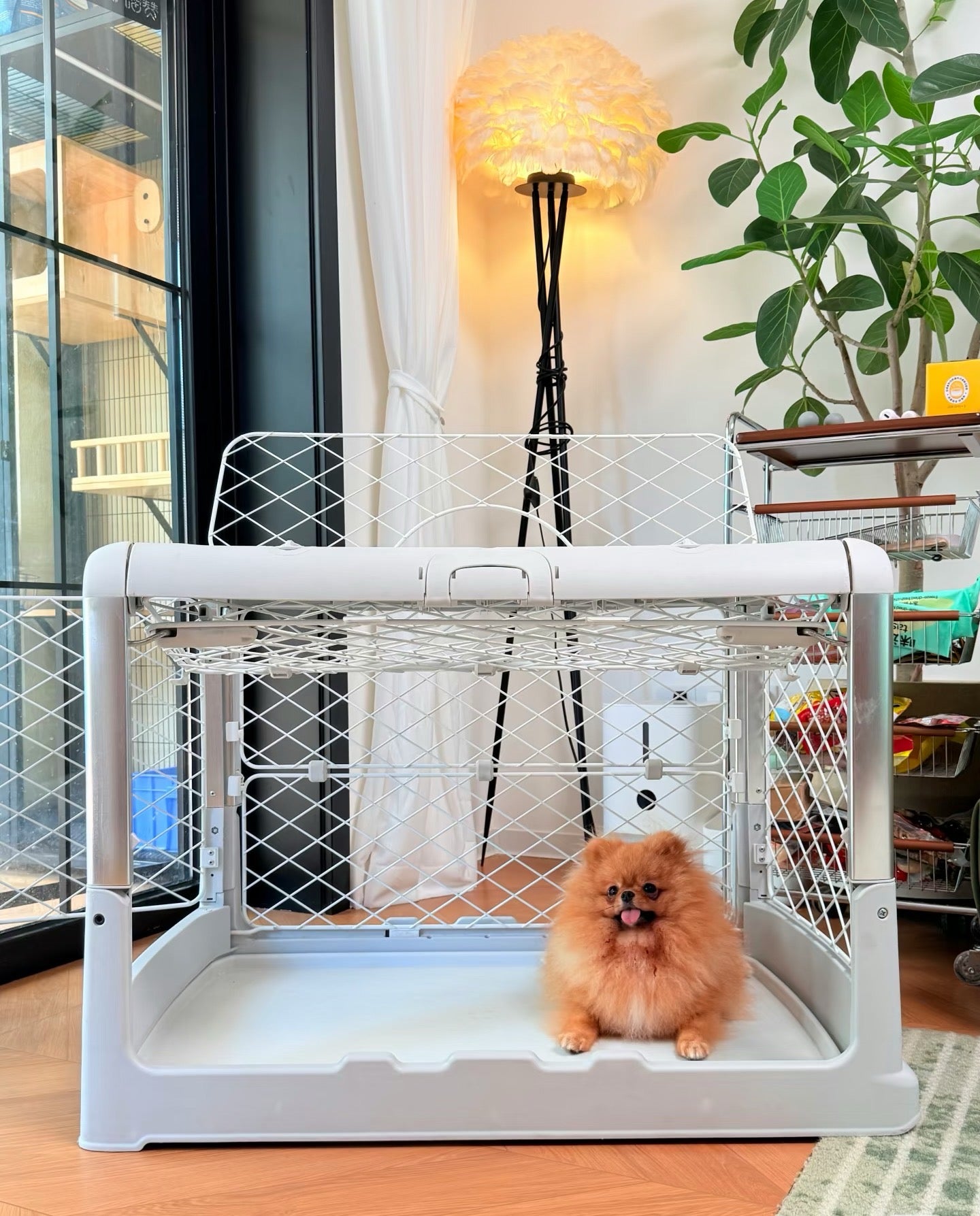 🦮Foldable pet cage with wheels – a high-quality, portable pet cage, providing a safe, stylish, and convenient indoor living space for your pet.
